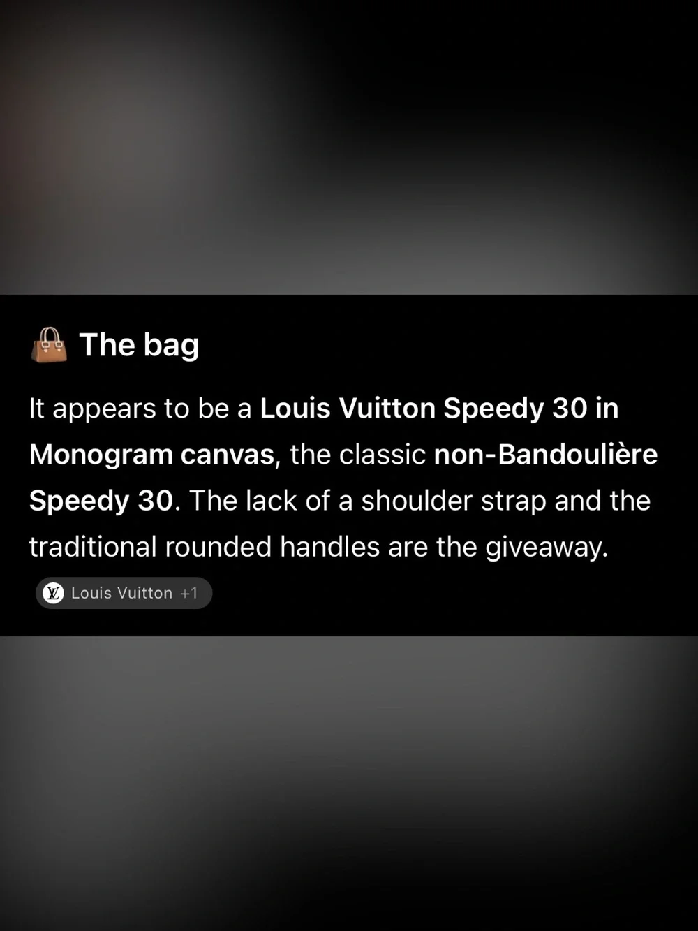 Louis Vuitton Monogram Canvas Satchel with Vachetta Leather Handles